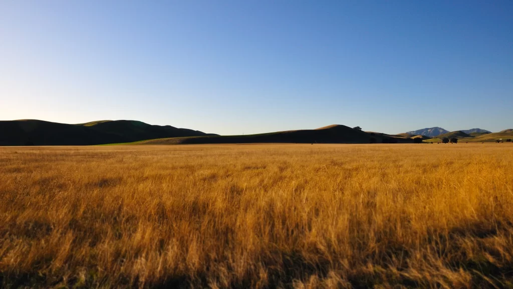 landscape field grass hills sky sunlight