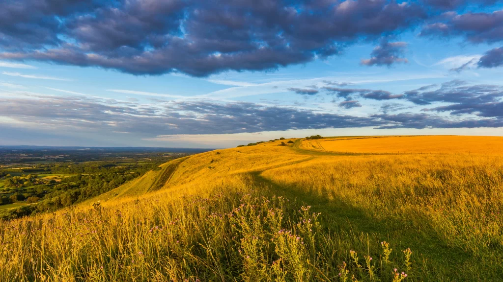 landscape field sky clouds sunset nature