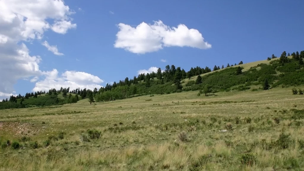 landscape grassland trees sky clouds nature