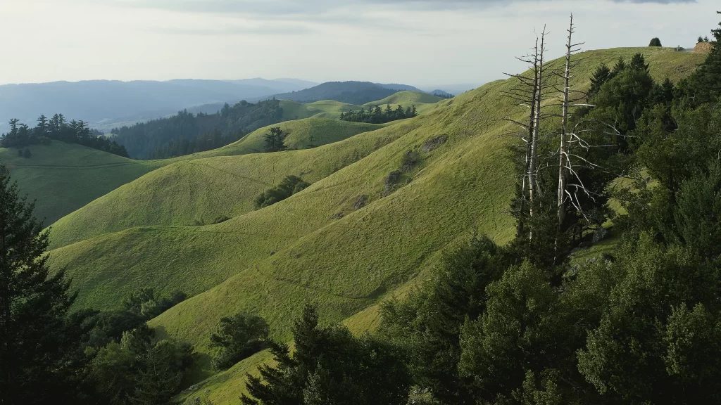 landscape hills greenery trees sky clouds
