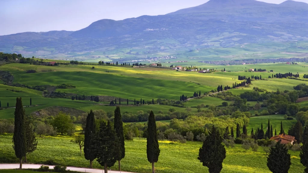 landscape hills trees green fields sky