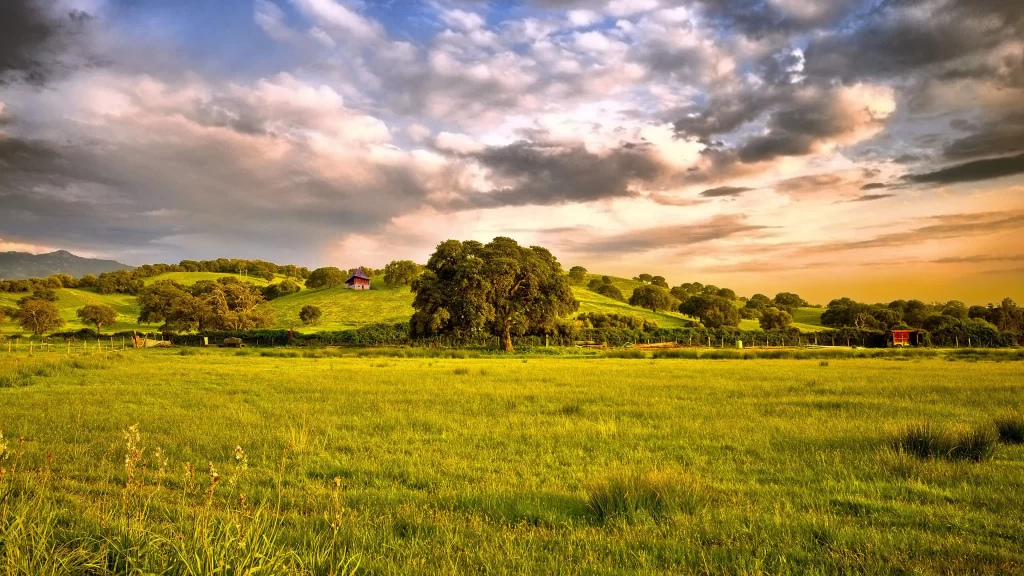 landscape nature grass trees sky clouds
