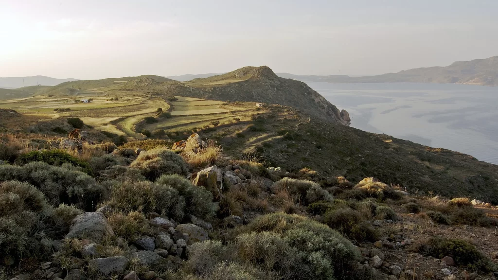 landscape nature hills sea vegetation rocks