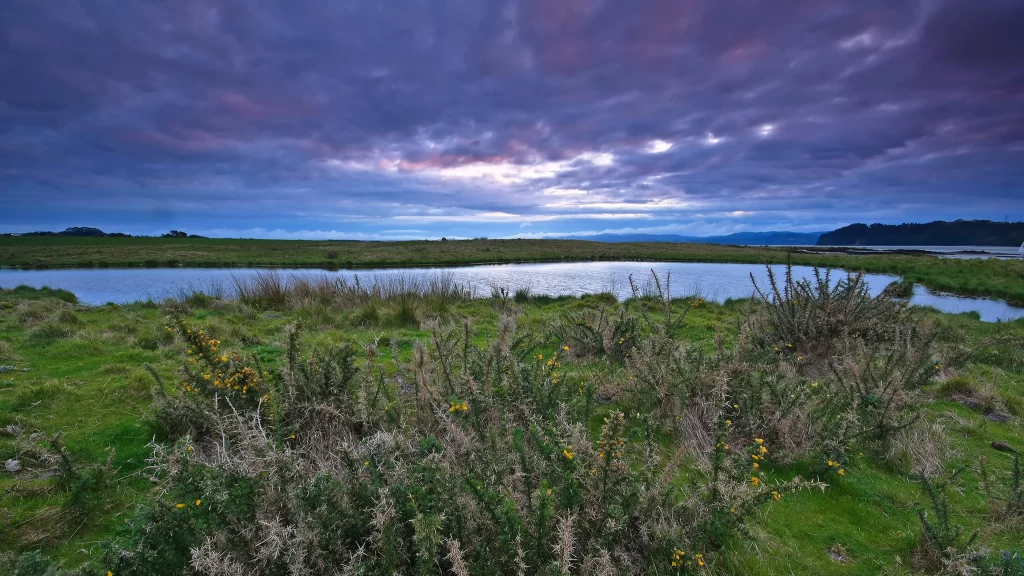 landscape nature water sky clouds vegetation