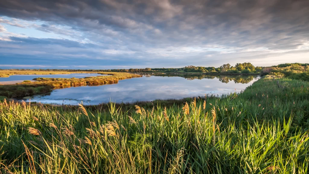 landscape nature water sky clouds vegetation