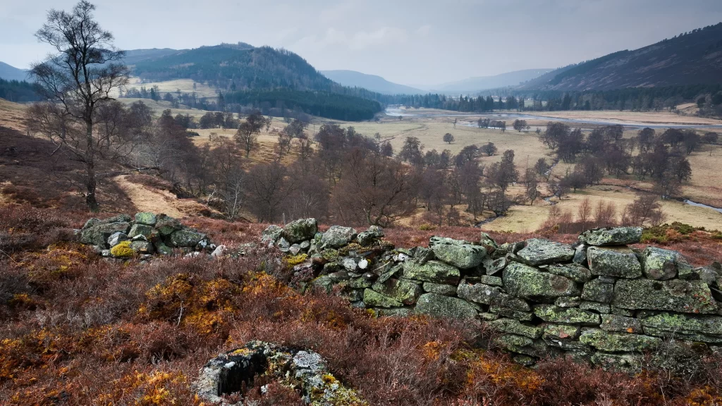 landscape stone wall valley trees hills sky
