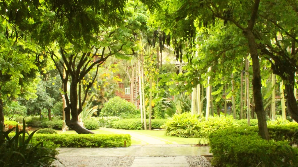 lush greenery, garden path, tropical plants, serene, natural, sunlight