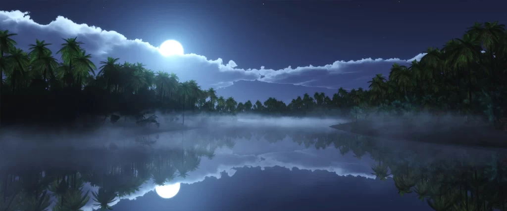 moonlight, mist, reflection, palm trees, night, tranquil