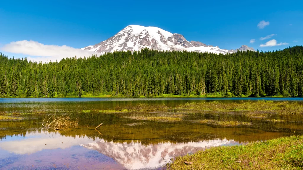 mountain lake forest snow reflection