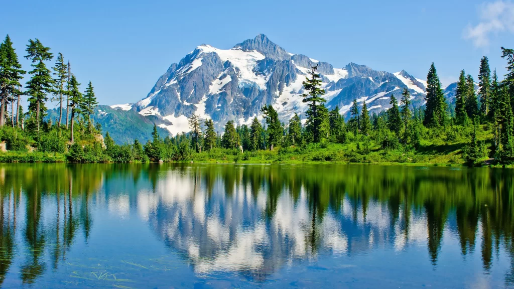 mountain lake snow trees reflection clear