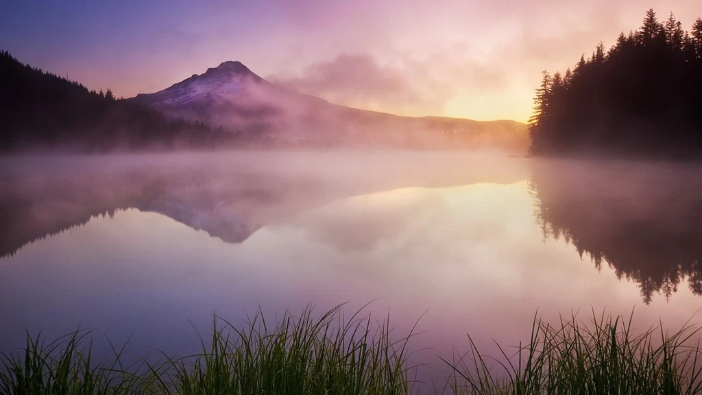mountain lake sunrise mist reflection forest