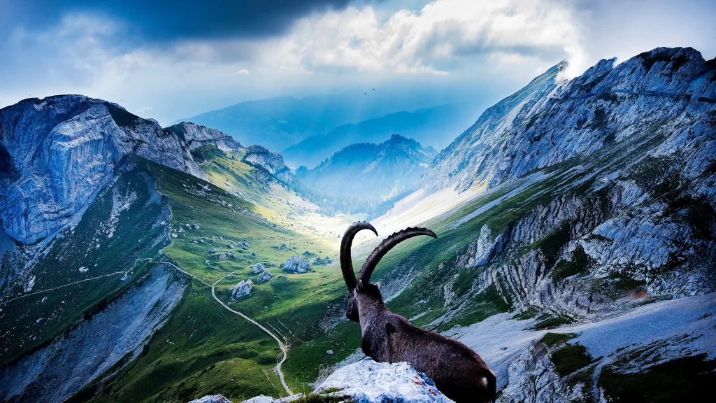 mountain landscape rocky terrain green valley cloudy sky majestic animal winding