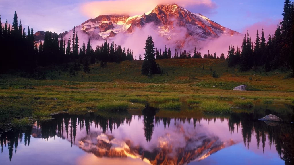 mountain reflection forest sky sunrise nature