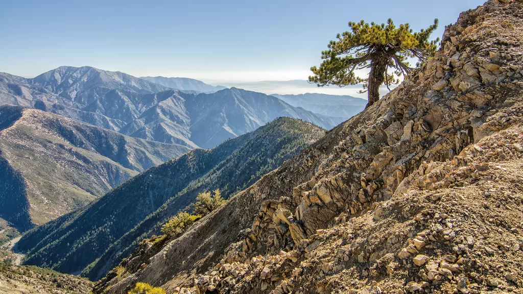 mountain rocky tree landscape clear sky