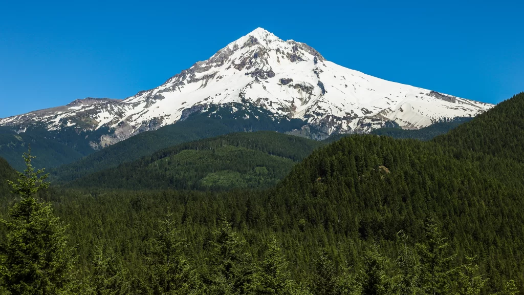 mountain snow forest sky landscape