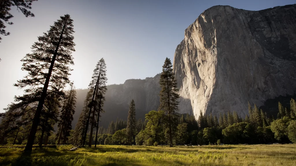 mountain trees grass sunlight sky nature