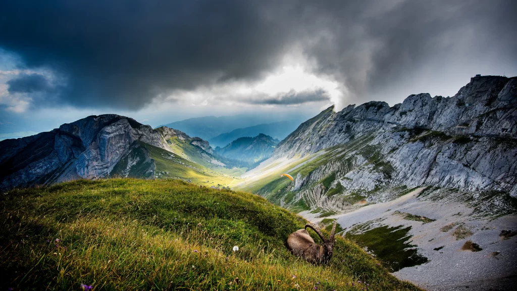 mountains clouds sunlight valley grass animal landscape nature