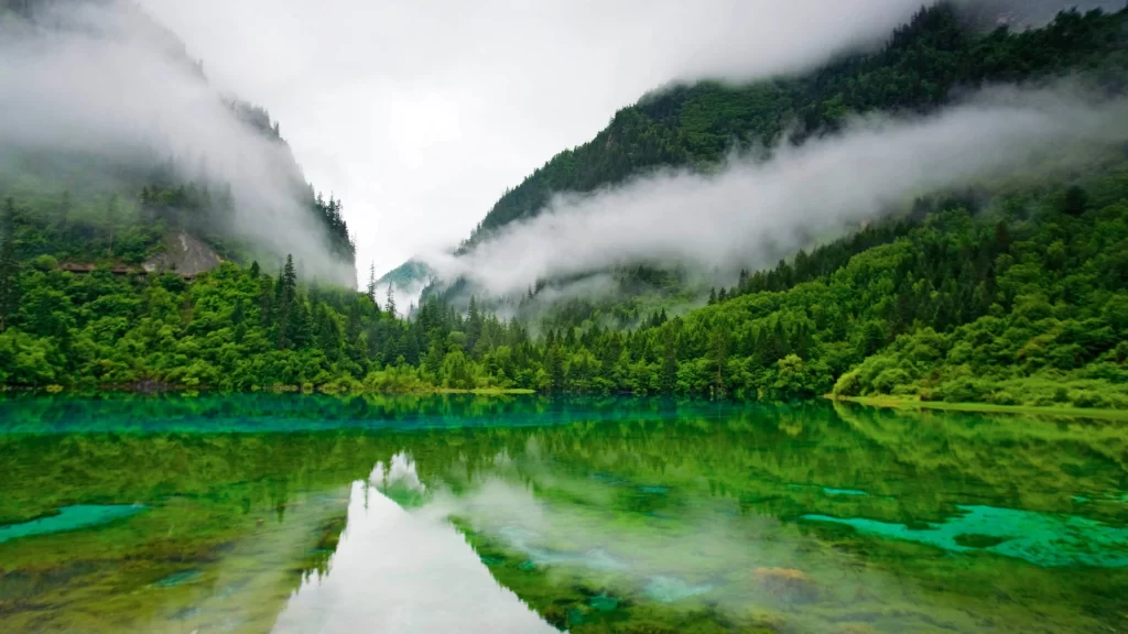 mountains, fog, lake, green, reflection, serene