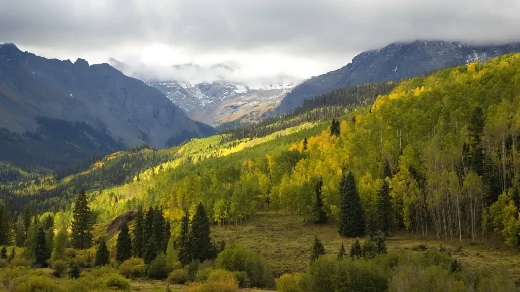 mountains forest clouds sunlight green autumn