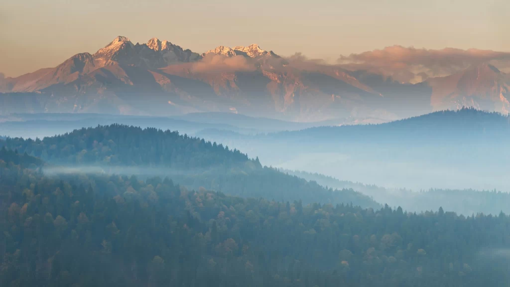 mountains forest fog sunrise landscape nature
