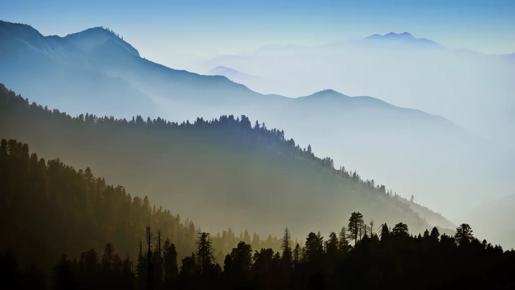 mountains forest mist sunrise landscape nature
