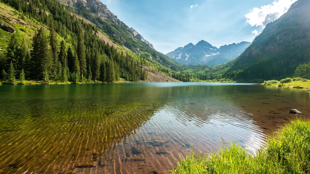 mountains lake forest greenery clear water