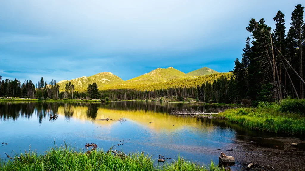 mountains lake forest trees sky reflection