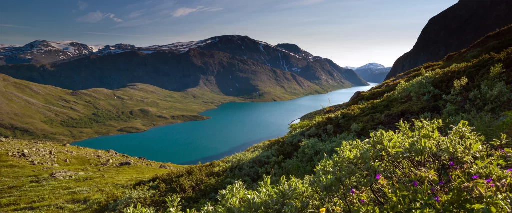 mountains lake greenery flowers sunlight