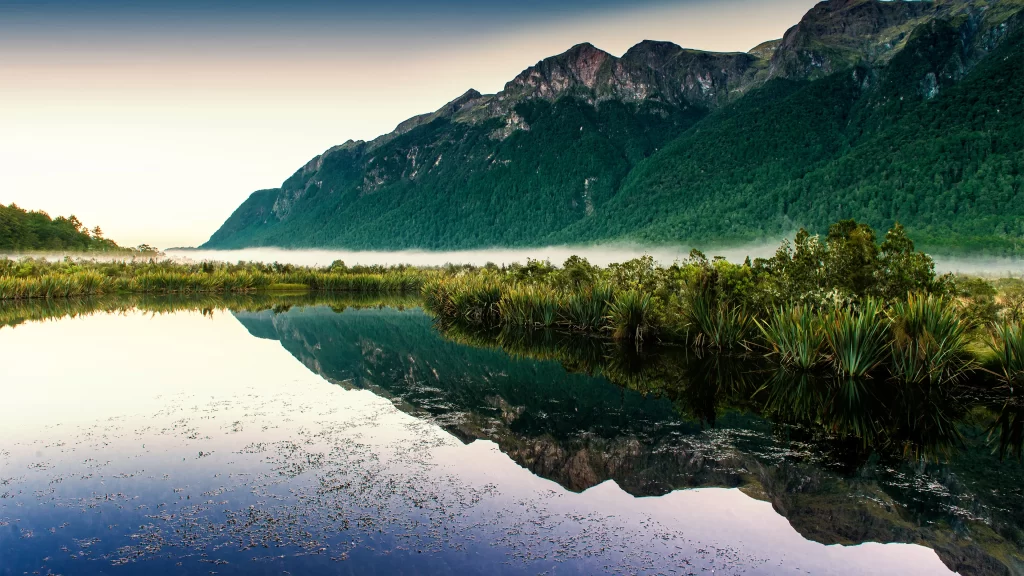 mountains lake reflection mist vegetation sunrise
