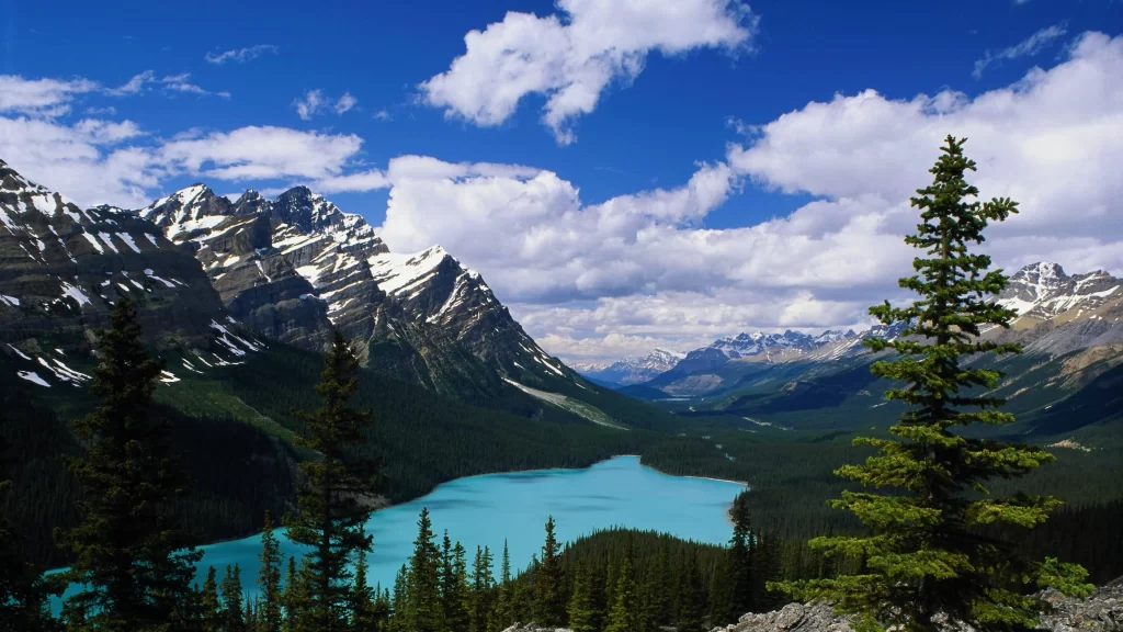 mountains lake sky trees snow