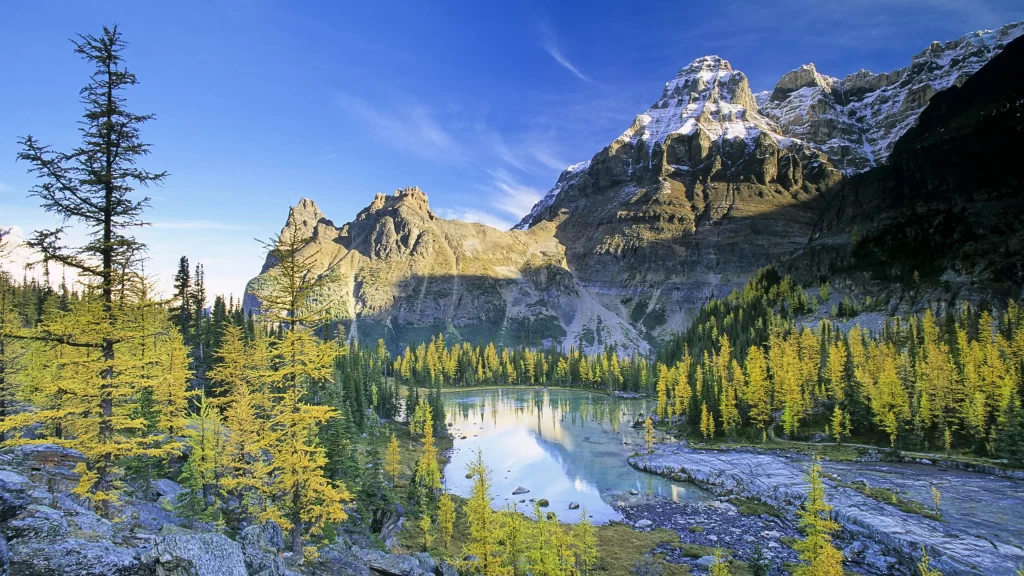 mountains lake trees sky snow