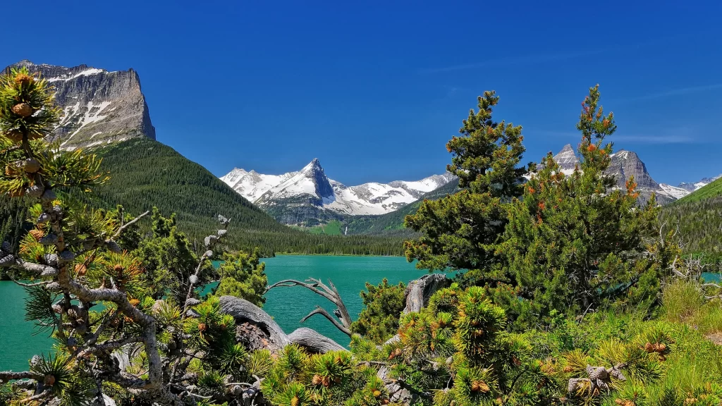 mountains lake trees snow sky