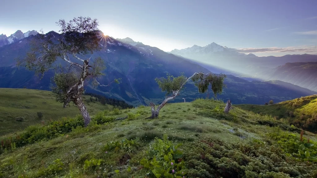 mountains sunlight trees landscape nature tranquility