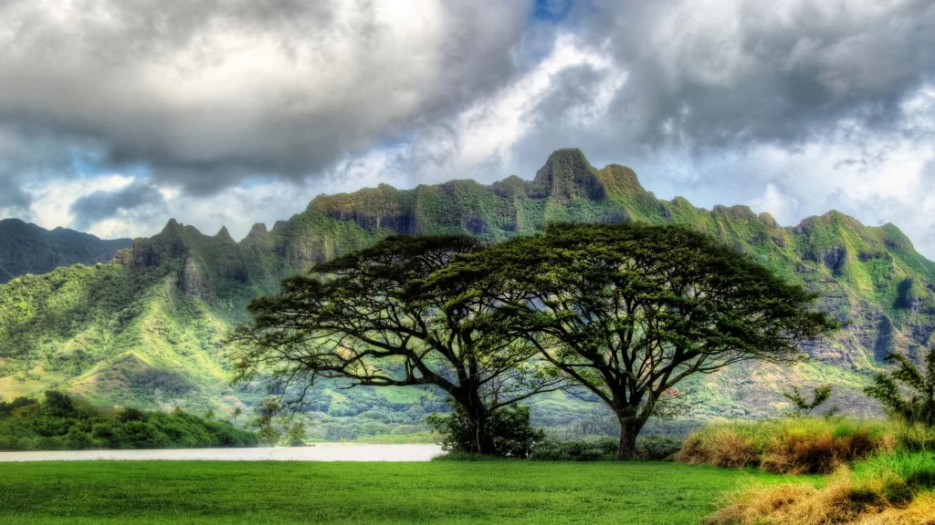 mountains trees clouds sky grass landscape