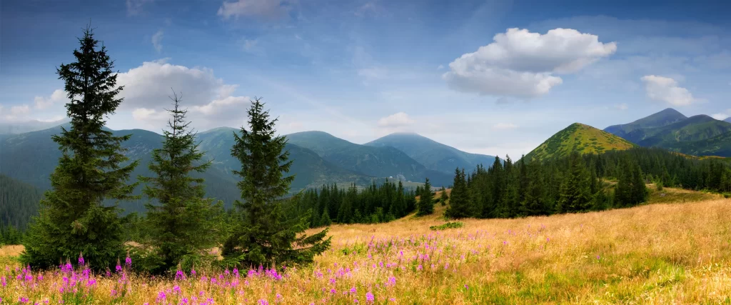 mountains, trees, grass, flowers, sky, clouds
