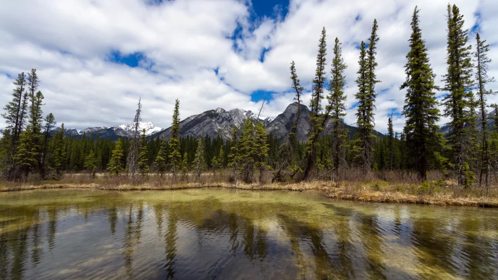 mountains trees water sky clouds landscape