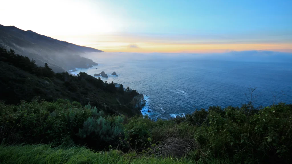 ocean coastline sunset cliffs vegetation horizon