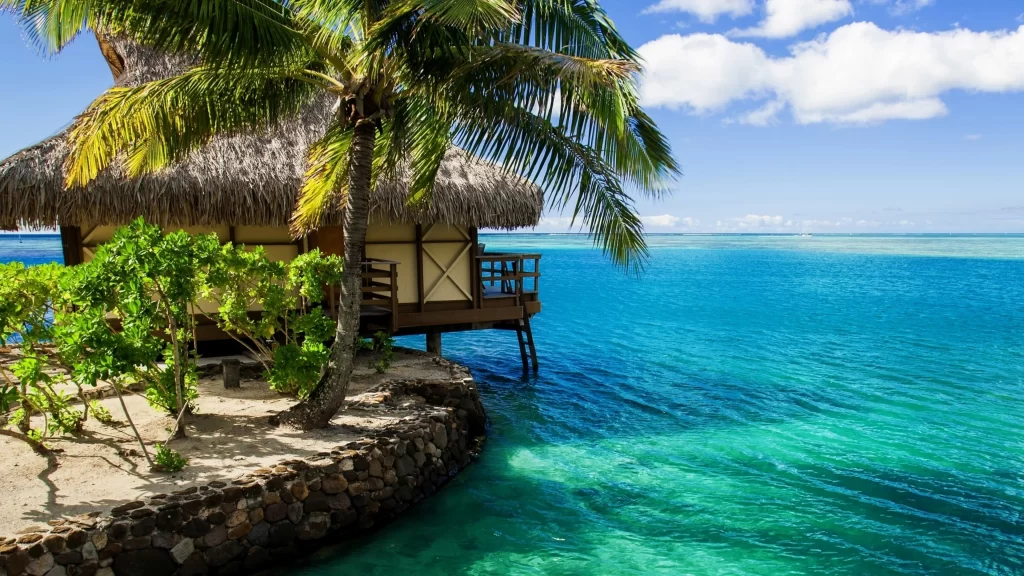 ocean palm tree hut clear water blue sky tropical