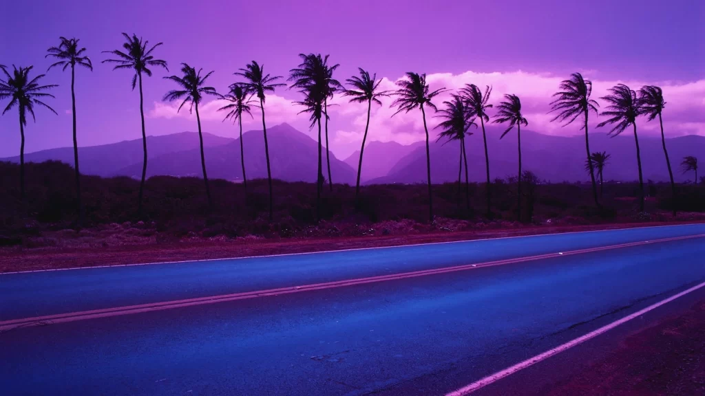palm trees road mountains sky purple