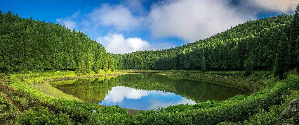 panoramic landscape serene lake lush greenery clear sky reflection