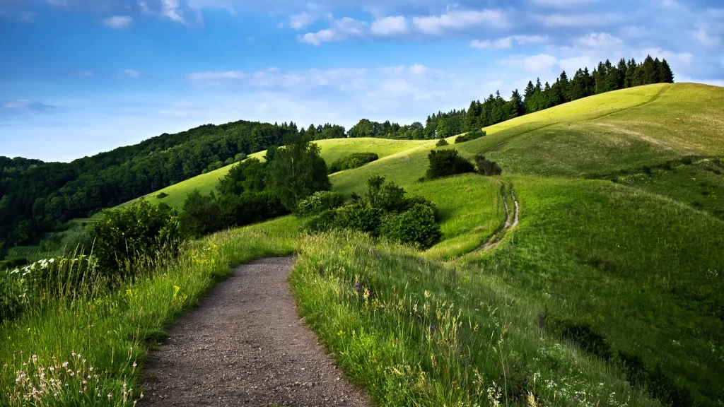 path grass hills trees sky clouds
