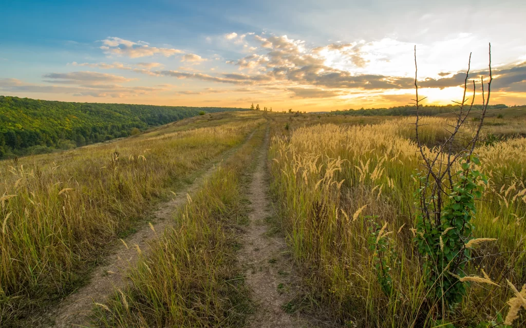 path grass sunset sky clouds landscape