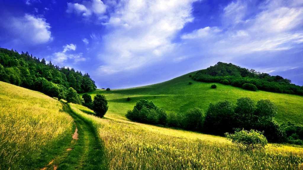 path grass trees sky clouds hills