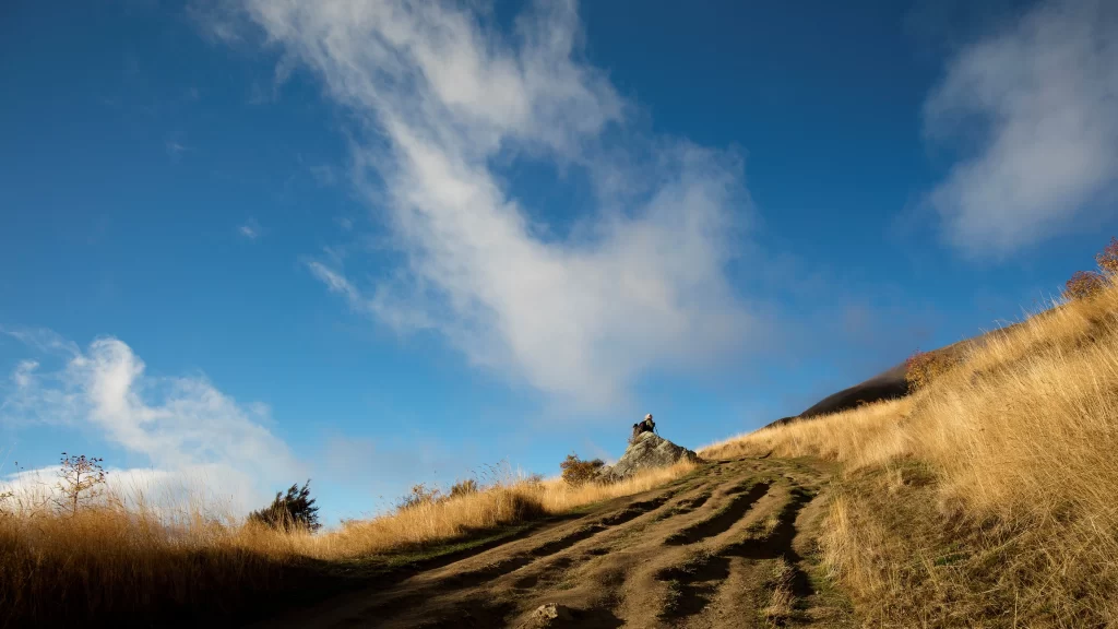 pathway grass sky clouds dirt nature