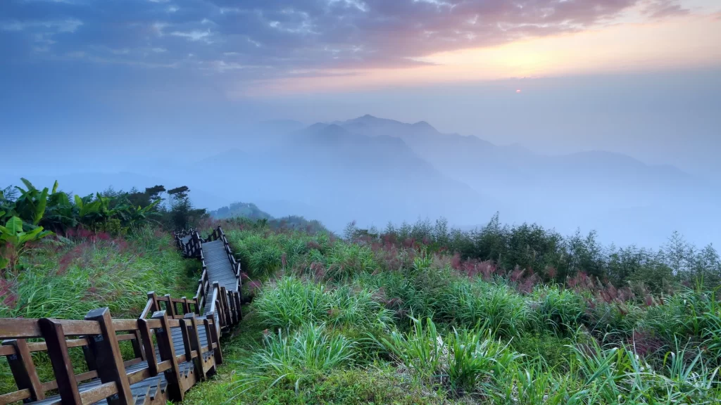 pathway nature sunrise mist mountains tranquility wooden landscape