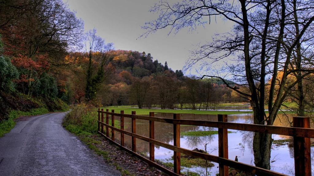 pathway trees fence water autumn landscape