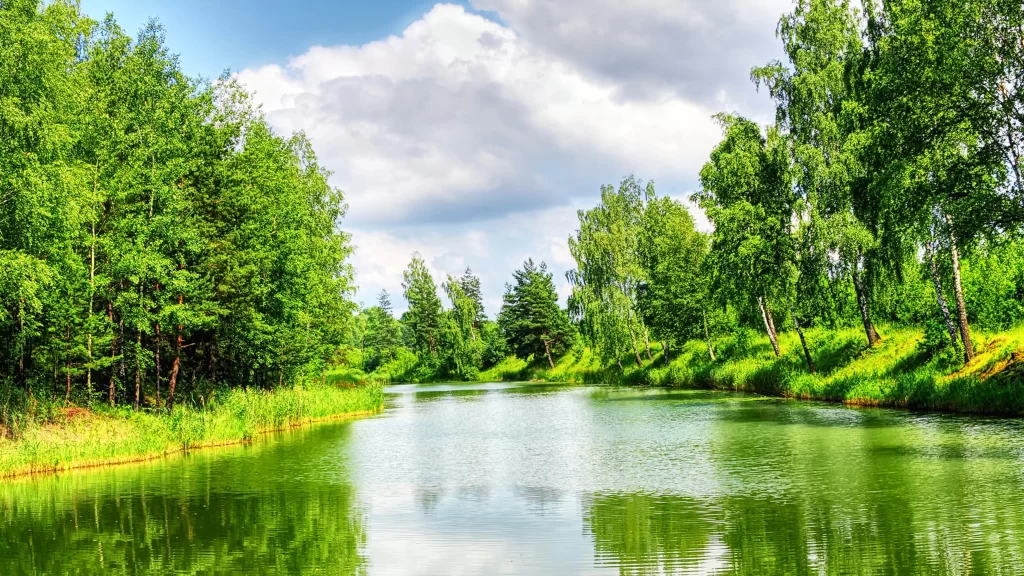 river green trees sky clouds nature