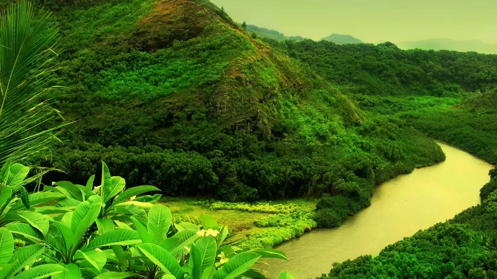 river greenery mountains nature landscape tranquility