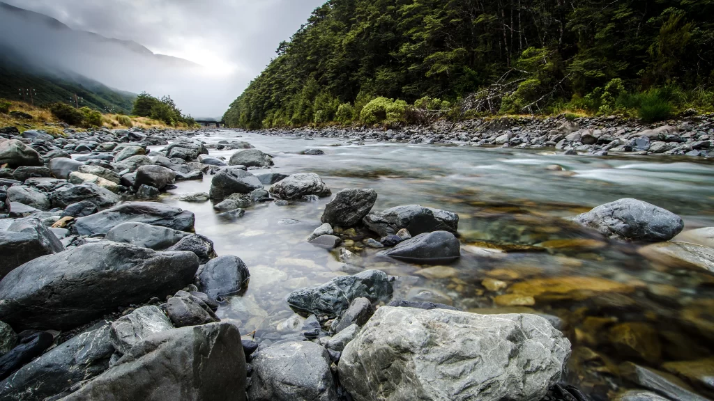 river rocks forest sunlight mist