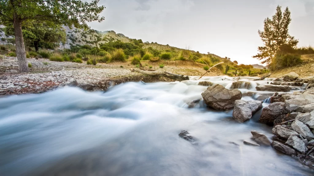 river rocks trees sunset landscape nature
